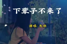 大欢演唱《下辈子不来了》完整版，下辈子你还来吗视频封面