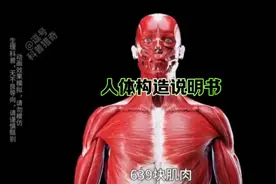 探索人体奥秘，揭开639块肌肉206块骨头的秘密！视频封面