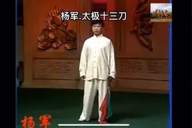 杨军演示整套杨氏十三刀视频封面