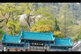 青岛文旅局发声：欢迎游客来崂山海之恋玩，门票免费！留言破10万视频封面