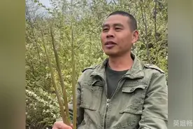 清明节上坟祭祖，#上热门幽默段子#太有才了！