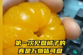 第一次见人盘橘子的果然真的是万物皆可盘