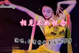 重温经典100#情歌皇后林翠萍《相见不如怀念》#宛转动情非常经典视频封面