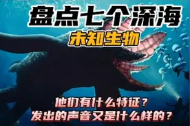 盘点七个深海未知生物，它们有什么特征？又会发出什么样的声音