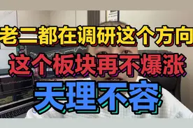 老二都在调研这个方向了，这个板块再不爆涨，天理不容视频封面