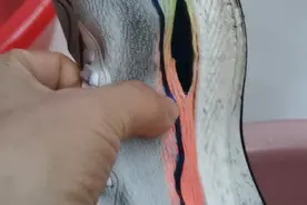 得物骗人。视频封面