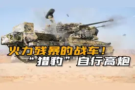 克星来了？美国援乌“猎豹”自行高炮，专门对付俄军无人机巡飞弹视频封面