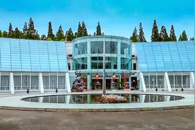 “根宝足球基地”：中国青训标杆，点燃青年足球的梦想！视频封面