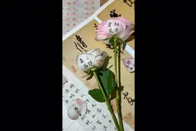 所有的为时已晚，其实都是恰逢其时