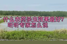 啶虫脒配着这些药剂使用，杀虫更快，对蚜虫、蓟马、粉虱特效！