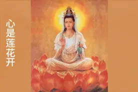 心是莲花开 佛歌50首合集