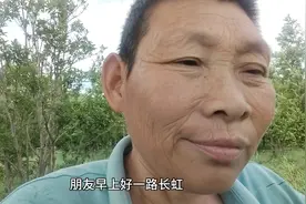 树上长得果子好多啊！又有红色绿色果子特别好看。土语叫赖葡萄