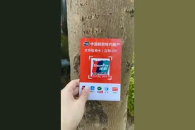 免费申请云闪付聚合商家收款码