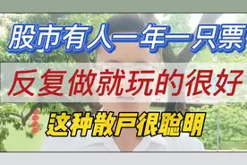原来有人一年一只票，反复波段和做T就能稳定盈利，一样很优秀。