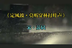 古诗词欣赏《定风波·莫听穿林打叶声》苏轼·宋视频封面