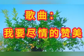 分享歌曲：《我要尽情的赞美》视频封面