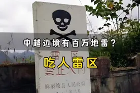 中越边境的数百万地雷，究竟是怎么排除的？