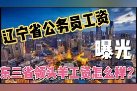 辽宁省公务员工资曝光，东三省领头羊公务员工资怎么样？视频封面