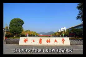 浙江农林大学（公办本科）