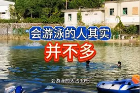 会游泳的人其实并不多视频封面