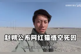 赵朔西行漫记最新消息，以为终于可以解决问题了，原来是把赵朔..视频封面