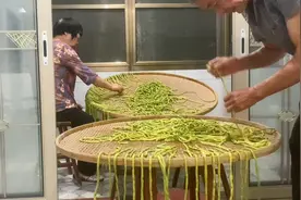 今年种下一批豇豆吃不完只好拿来晒干因为天气一直下雨用电风扇吹视频封面