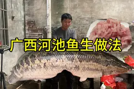 广西河池鱼生做法，10斤大黑鱼配上十几种香料，上桌吃得真过瘾