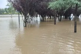 周口沙颍河水位比昨天再宽20多米两日水位对比，镇河铁牛水位新高视频封面