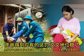 虎叔带小虎回家解决父子矛盾，虎爸最终得到了应有的惩罚视频封面