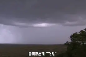 西安雷雨夜3000人目击‘飞龙’！气象局连夜辟谣：无龙，但有黑影视频封面