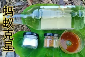 消灭蚂蚁有诀窍 ，简单方便又实用 ，来一窝灭一窝