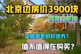 北京边发现定居养老的小镇，房价3900块，蔬菜几毛钱，值不值购买