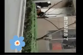 白鹿助理摔倒，白鹿王鹤棣竟然这么做。视频封面