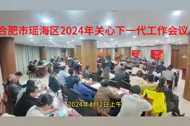 瑶海区2024年关心下一代工作会议 表彰先进 交流经验 部署工作视频封面