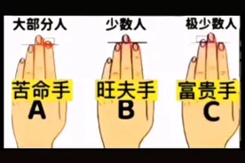 手型与命运视频封面