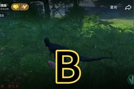 高高很高视频封面