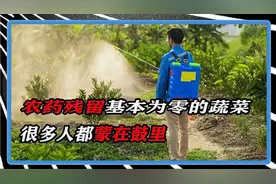 农药残留基本为零的八种蔬菜，很多人都蒙在鼓里，千万不要错过视频封面