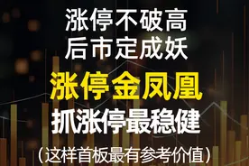 涨停金凤凰，涨停战法最稳健形态，涨停不破高，后市定成妖