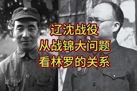 辽沈战役，从战锦大问题，看林罗的关系