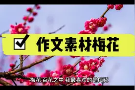 小学生作文《梅花》#素材视频封面