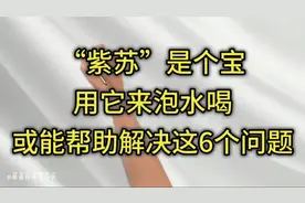 “紫苏”是个宝，用它来泡水喝，或能帮助解决这6个问题
