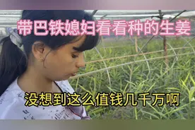 巴铁媳妇第一次来中国，让她看看家里种的生姜，直接把媳妇吓到了视频封面