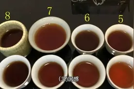 普洱茶滋味（下）视频封面