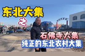 沈阳石佛寺大集，纯正的东北农村大集，381路公交直达，369开集视频封面