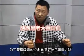 陕西黑老大蔡国强
