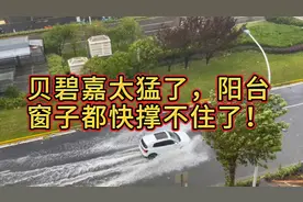 【台风贝碧嘉】以防你不知道12级风圈有多猛