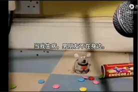 老鼠吃彩虹糖。