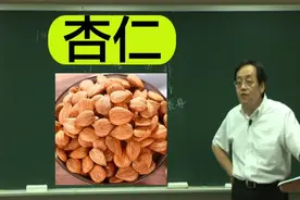 倪海厦讲本草：杏仁