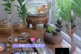 为什么不承认92准?扒出93年的准生证，S的弟弟办了兰考的农村准