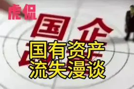 20240629虎侃：国有资产流失问题漫谈视频封面